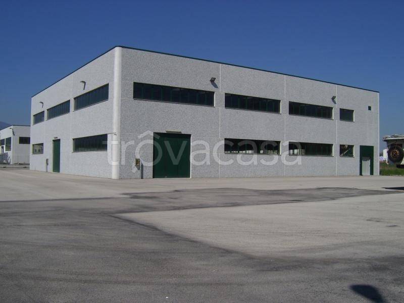 negozio in affitto a Caserta