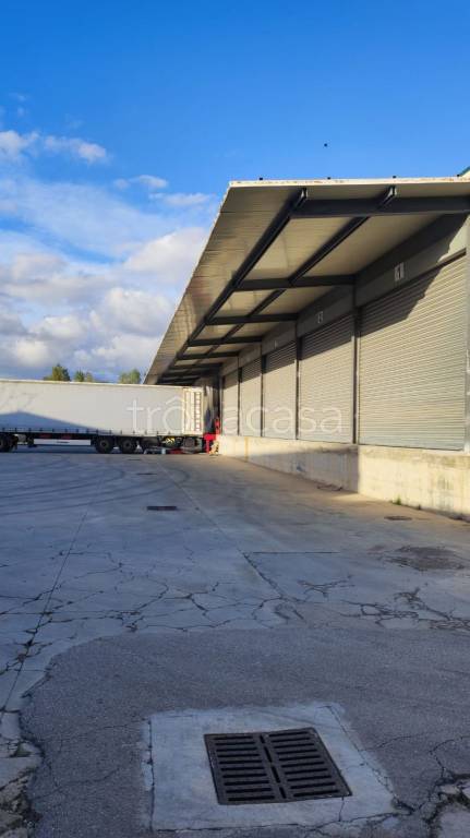 capannone in affitto a Caserta