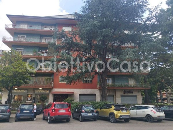 appartamento in affitto a Caserta
