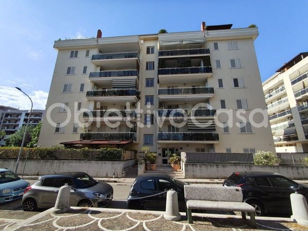 appartamento in affitto a Caserta
