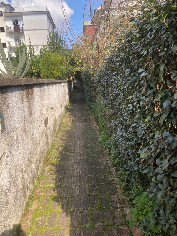 appartamento in affitto a Caserta