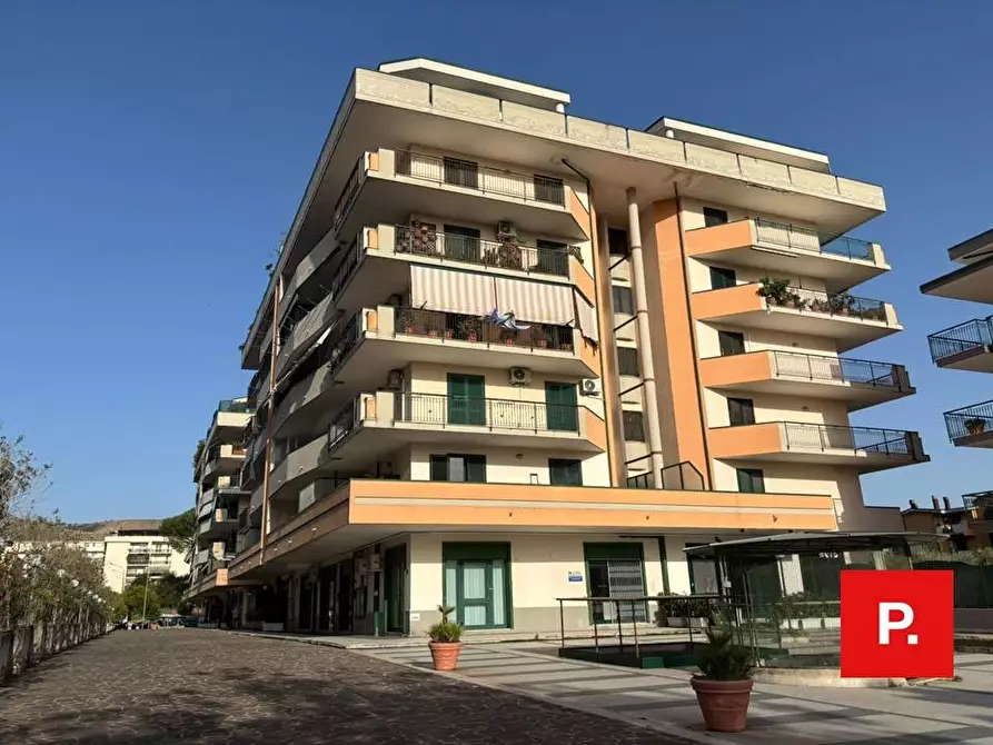 appartamento in affitto a Caserta