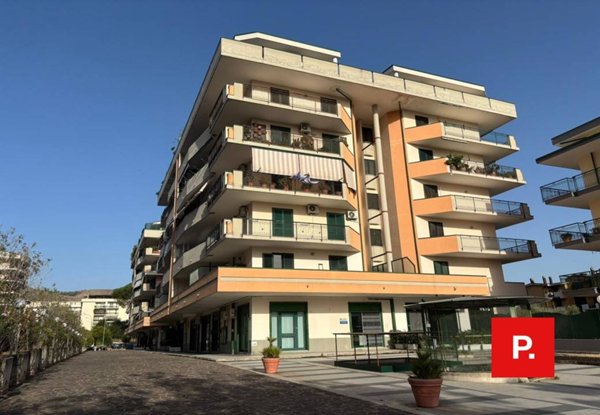 appartamento in affitto a Caserta