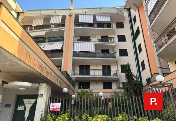 appartamento in affitto a Caserta