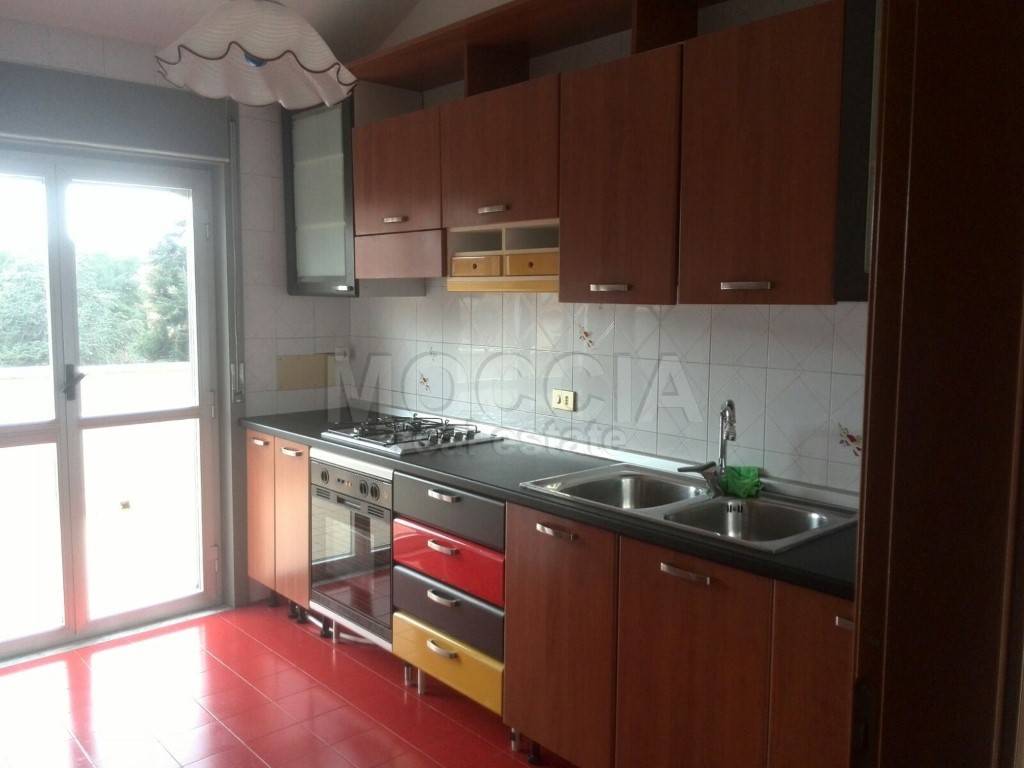 appartamento in affitto a Caserta