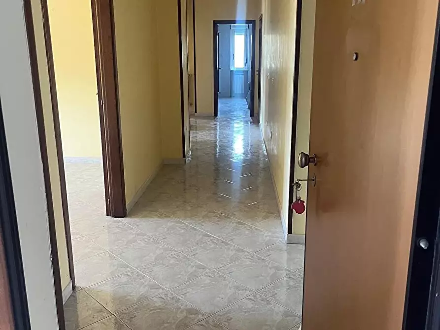 appartamento in affitto a Caserta