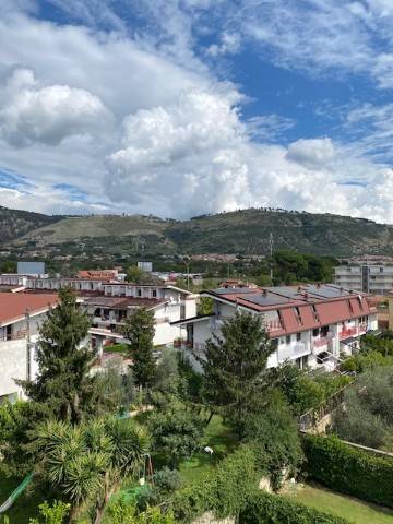 appartamento in affitto a Caserta