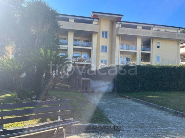 appartamento in affitto a Caserta