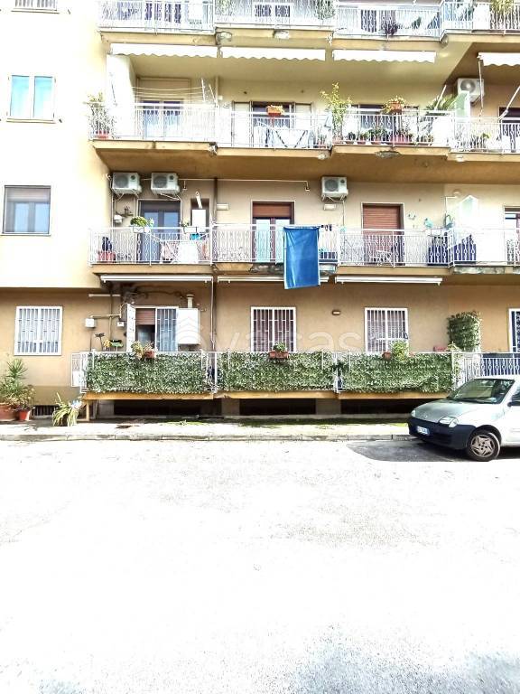 appartamento in affitto a Caserta in zona Acquaviva