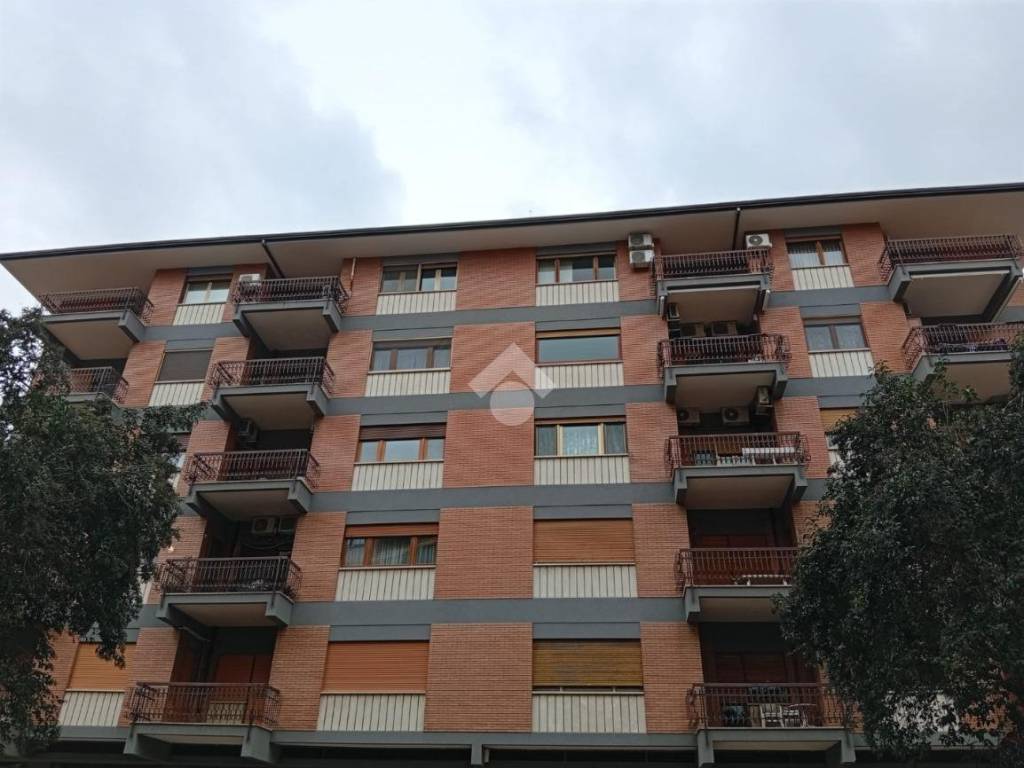 appartamento in affitto a Caserta