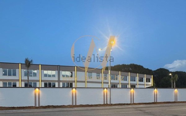 ufficio in affitto a Caserta