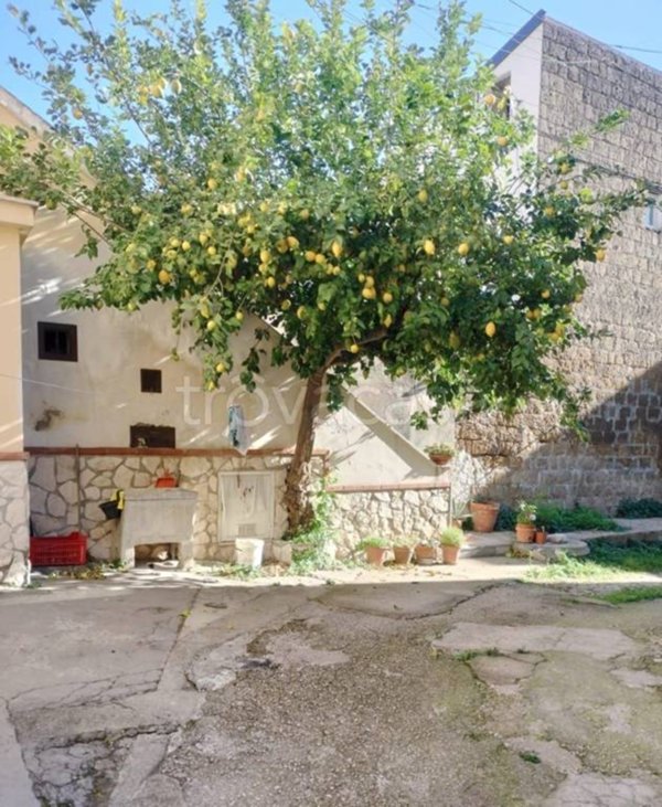 appartamento in affitto a Caserta in zona San Clemente