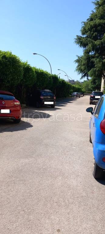 appartamento in affitto a Caserta