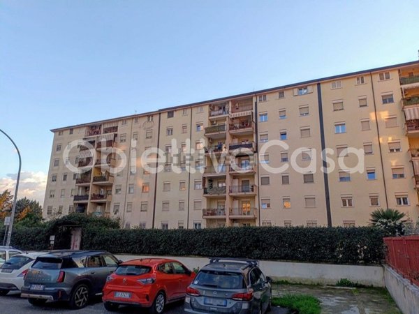 appartamento in affitto a Caserta