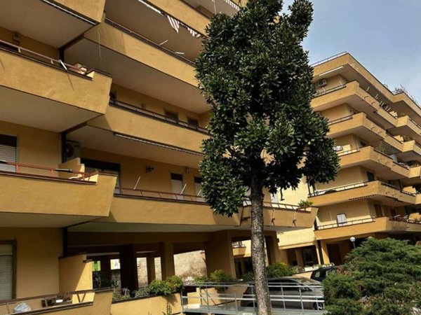 appartamento in affitto a Caserta