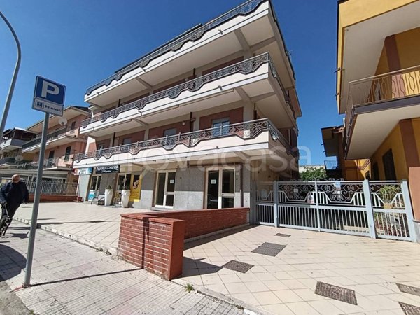 negozio in affitto a Caserta in zona Michelangelo