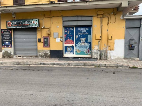negozio in affitto a Caserta in zona Centurano/Cerasole