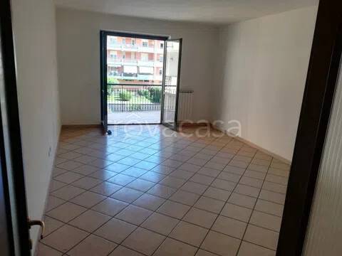 appartamento in affitto a Caserta
