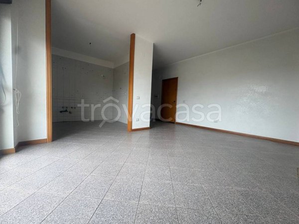 appartamento in affitto a Caserta