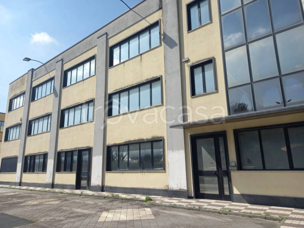ufficio in affitto a Caserta