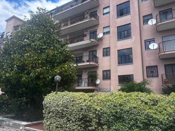 appartamento in affitto a Caserta