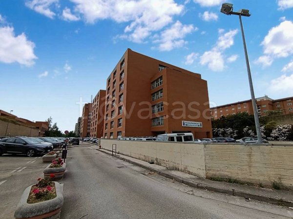 ufficio in affitto a Caserta