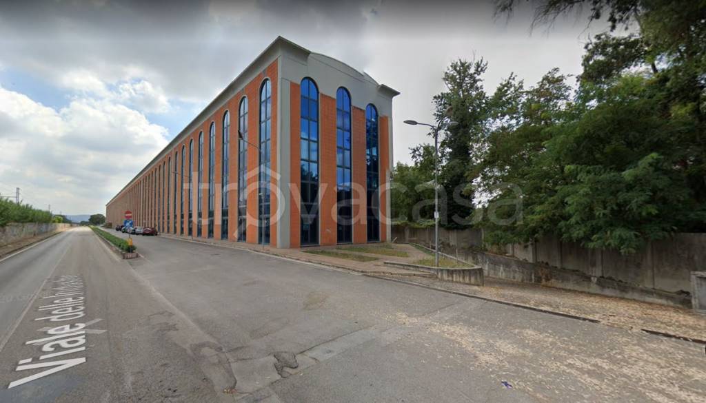negozio in affitto a Caserta