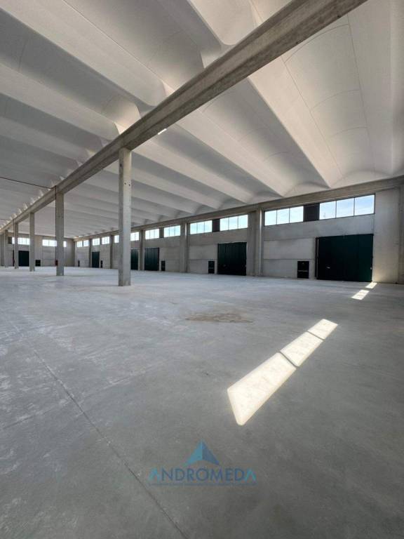 capannone in affitto a Caserta in zona Falciano