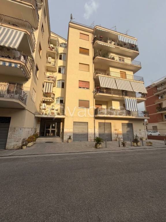 appartamento in affitto a Caserta
