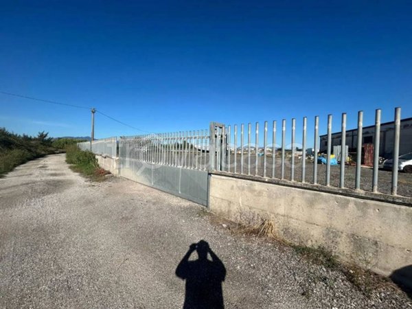 negozio in affitto a Grazzanise