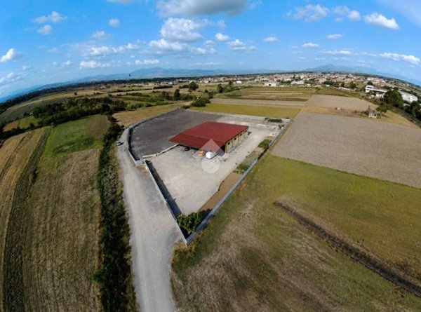 locale commerciale in affitto a Grazzanise