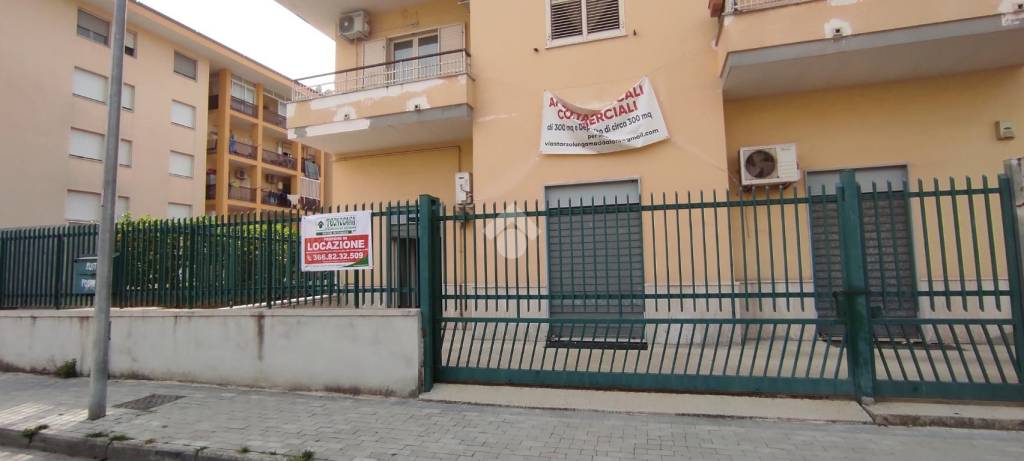negozio in affitto a Maddaloni