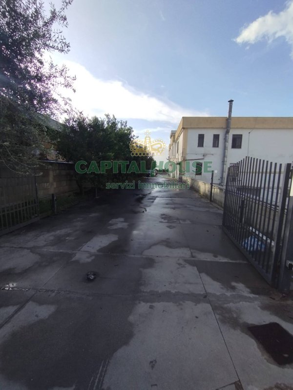 locale commerciale in affitto a Maddaloni