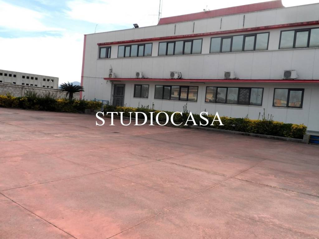 negozio in affitto a Maddaloni