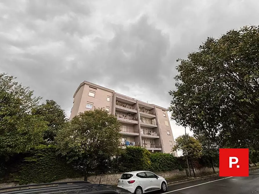 appartamento in affitto a Maddaloni