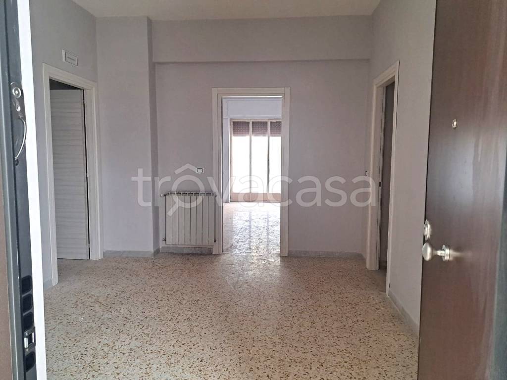 appartamento in affitto a Maddaloni