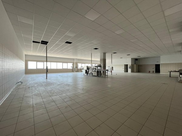 ufficio in affitto a Maddaloni