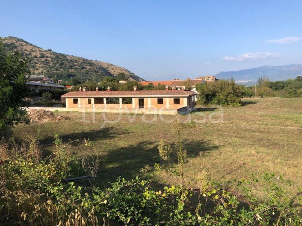 casa indipendente in affitto a Maddaloni