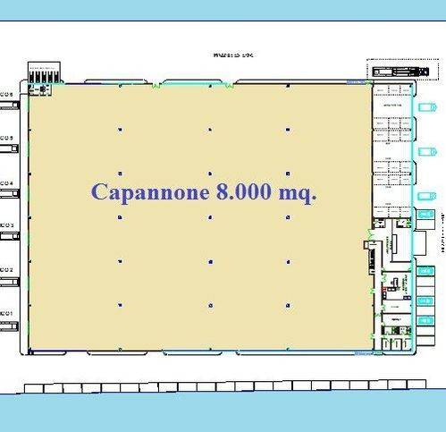 capannone in affitto a Marcianise
