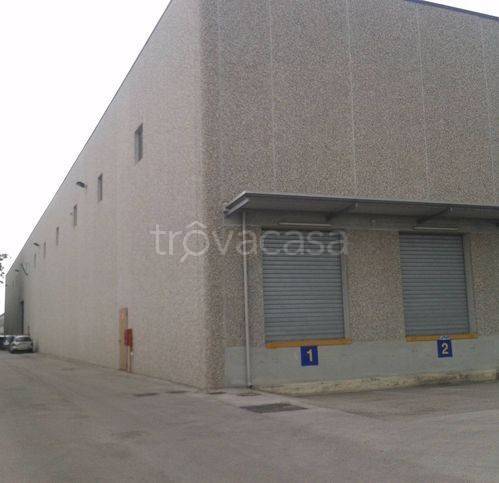locale commerciale in affitto a Marcianise