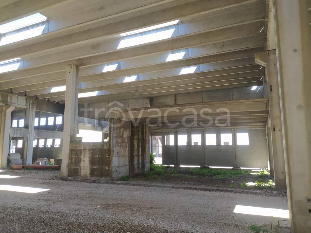 locale commerciale in affitto a Marcianise