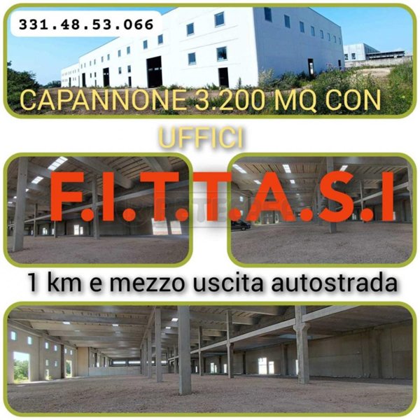 capannone in affitto a Marcianise