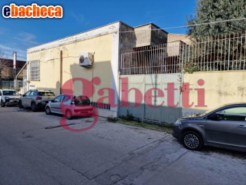 appartamento in affitto a Marcianise