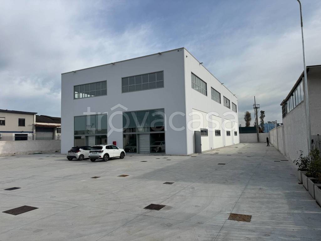 appartamento in affitto a Marcianise