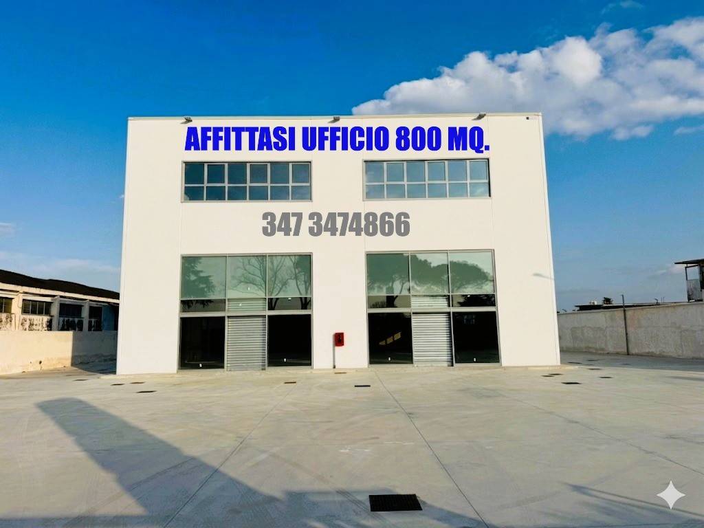 ufficio in affitto a Marcianise