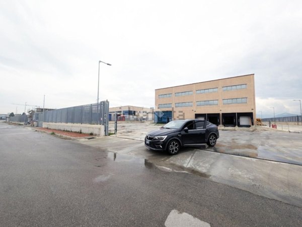 capannone in affitto a Marcianise