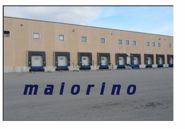 capannone in affitto a Marcianise