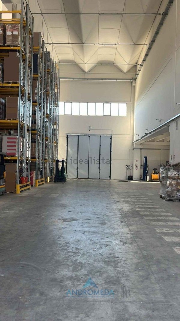 capannone in affitto a Marcianise