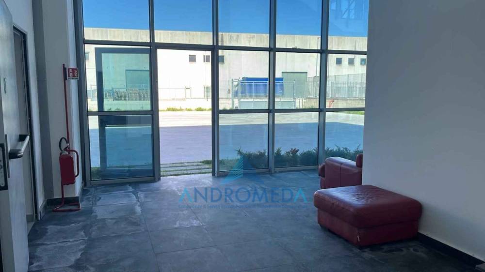 capannone in affitto a Marcianise