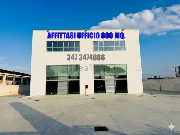 ufficio in affitto a Marcianise